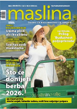 Maslina