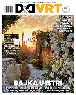 D&D VRT - naslovnica